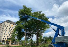 XE NÂNG NGƯỜI GENIE S85 CAO 28 MÉT